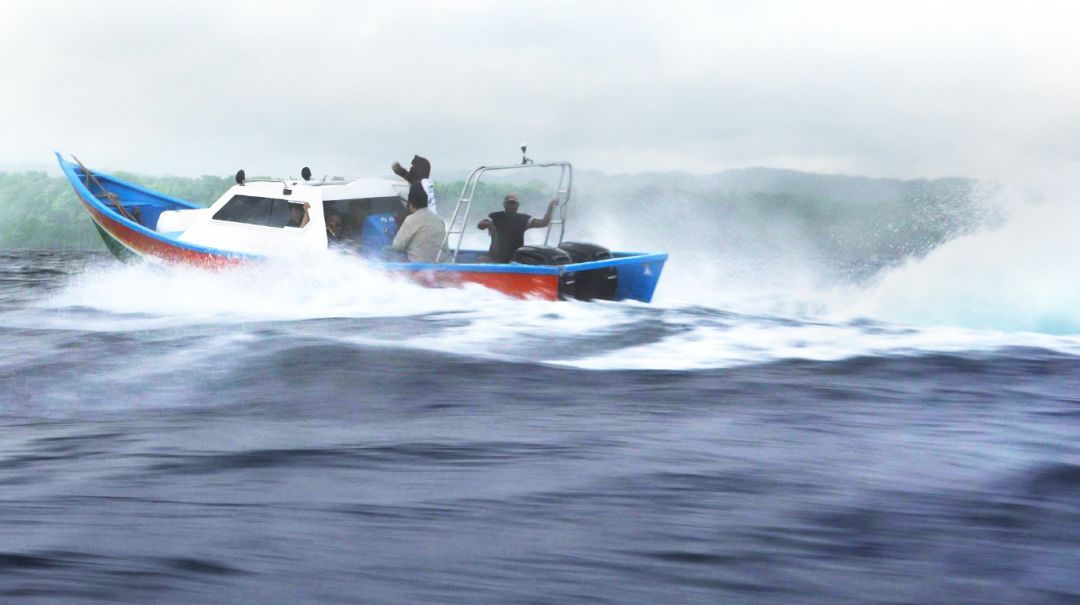 【星空app官网】浙江温州抓获3名涉嫌制售染色馒头嫌疑人(图3) 星空app官网