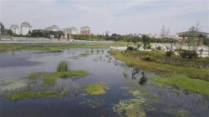 星空app官方网页