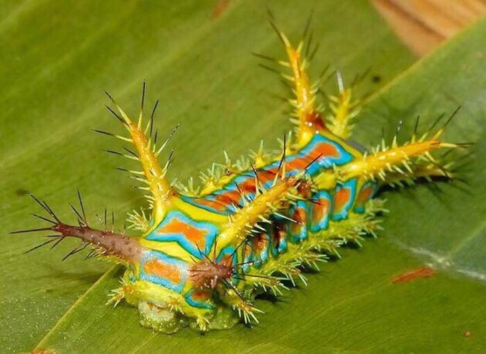 星空app官方网页:《澳门人家》收官 柯蓝走心诠释“双频”母爱(图1) 星空官方网站