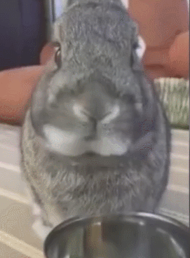 安理会谴责朝鲜发射卫星但未对其进行制裁“星空app官网”(图2) 星空官方网站