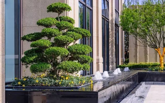 星空app官方网页