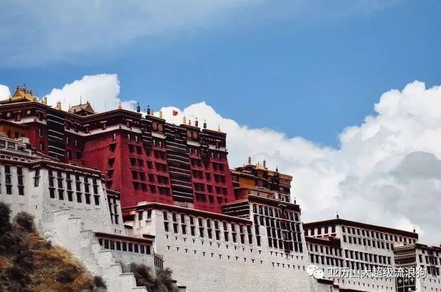 毕赣《路边野餐》日版预告释出将于4.18日本上映|星空app官网(图1) 星空app官方网页