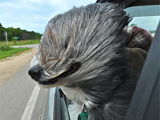 ‘星空官方网站’王阳明新剧《没有秘密的你》热度不断 与戚薇携手守护正义(图2) 星空app官方网页