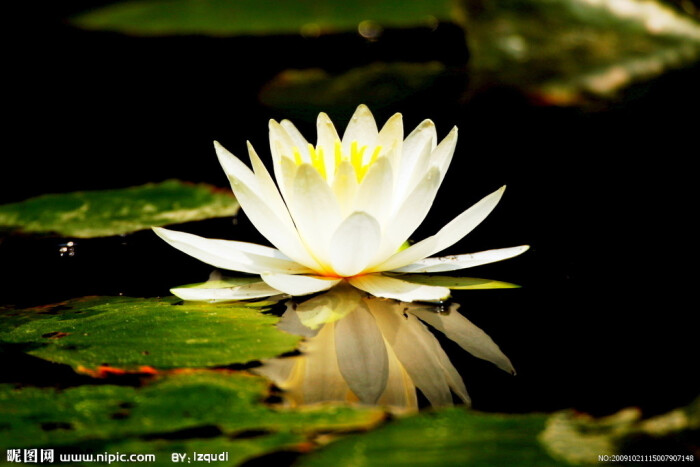 星空app官方网页