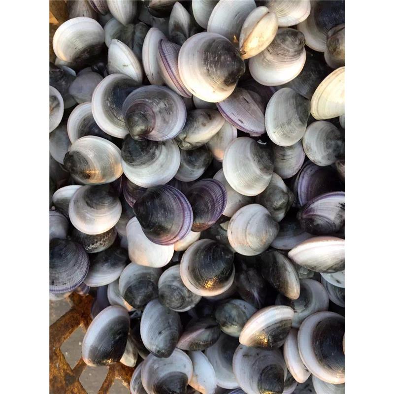 《绑架者》发布情人节组图 爱的多重诠释-星空官方网站(图2) 星空app官网