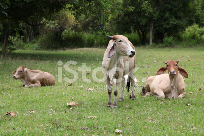 “星空官方网站”《父子拳王》:每个有缺陷的孩子都是上帝咬中的苹果(图3) 星空官方网站