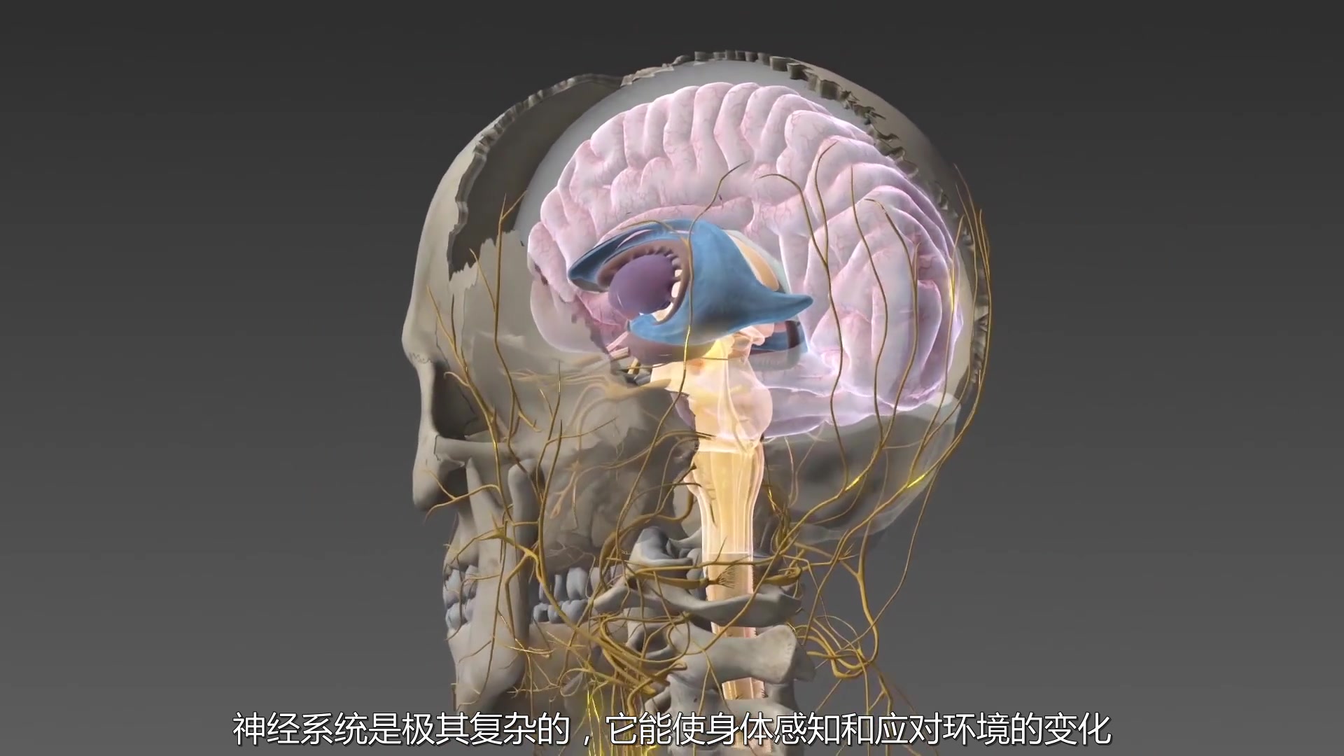 绝色莫文蔚着陆西安咸阳 十三朝古都开启奇妙旅程‘星空官方网站’(图3) 星空app官网