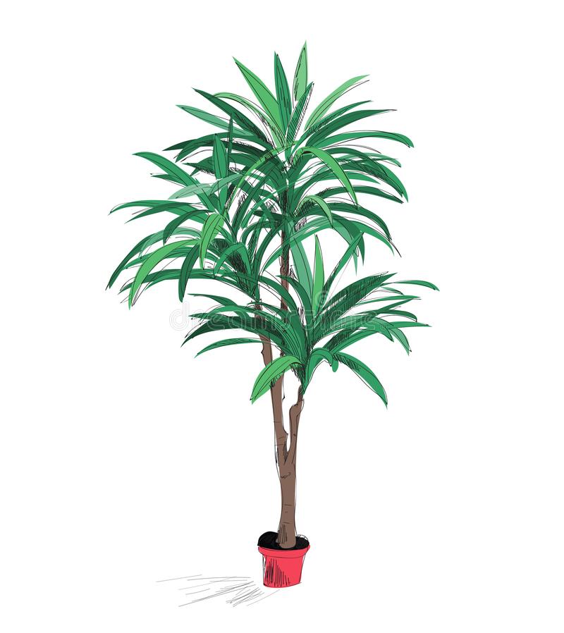 脊柱侧弯更“青睐”女性高瘦女孩成高危人群_星空官方网站(图2) 星空app官网