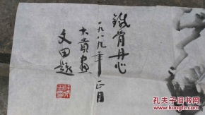 “星空app官方网页”深圳确诊13例登革热病例(图2) 星空app官方网页