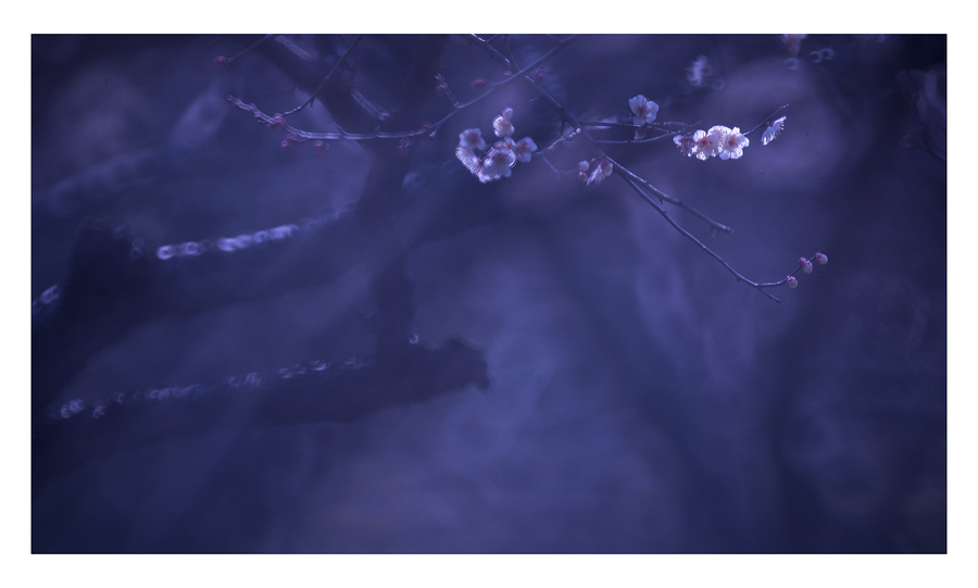 星空app官方网页