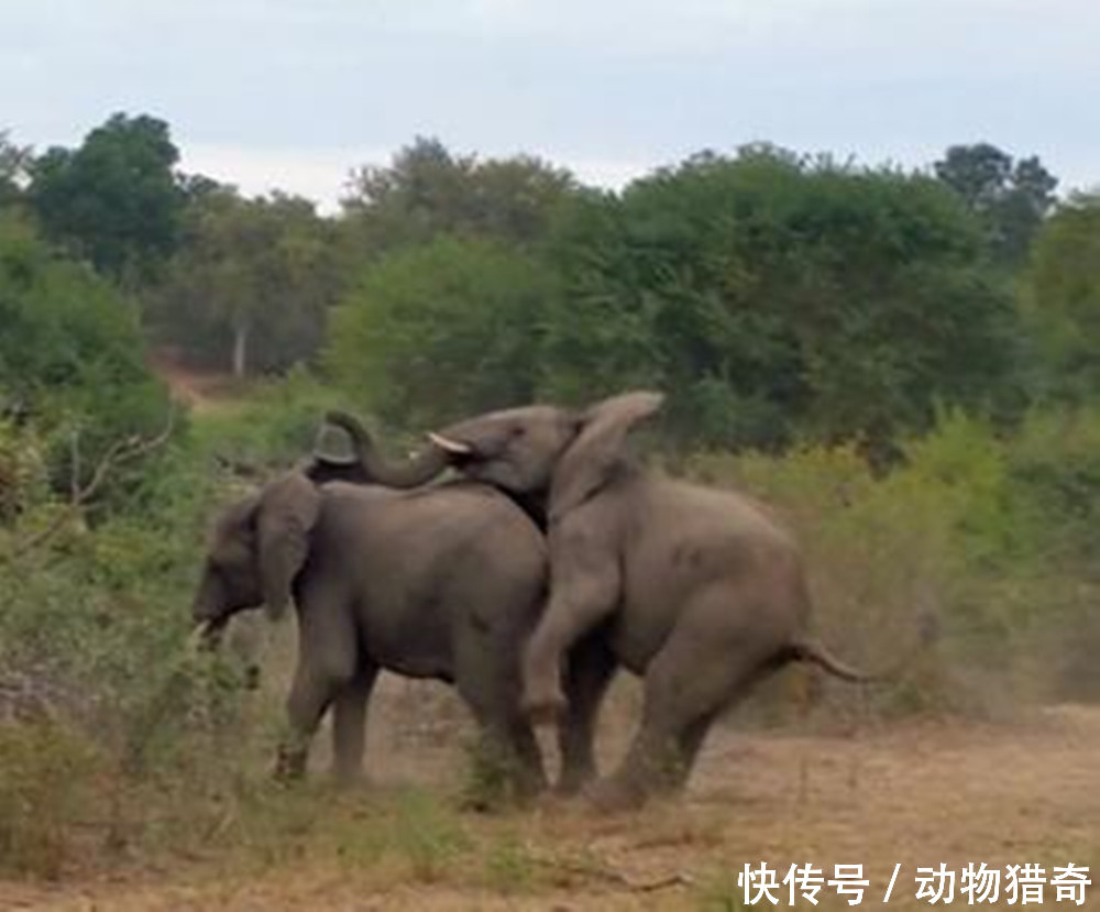 奇幻爱情《若能与你共乘海浪之上》发角色海报 “水形男友”陪你过七夕‘星空app官方网页’(图1) 星空app官网