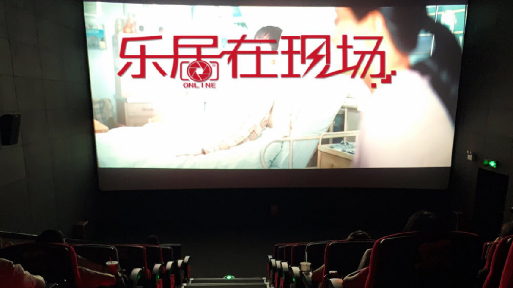 星空app官网|范景翔“慈父大爱”携吕文彬“首踏高校”公益流浪猫 丹麦关注(图1) 星空app官方网页